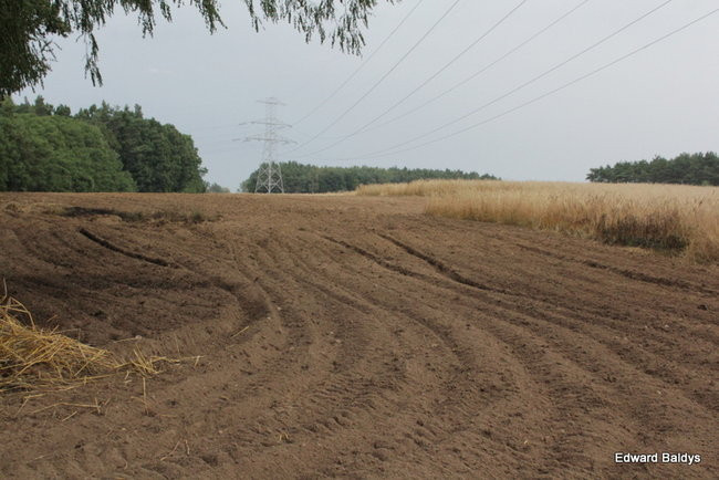 Od zwarcia linii energetycznej