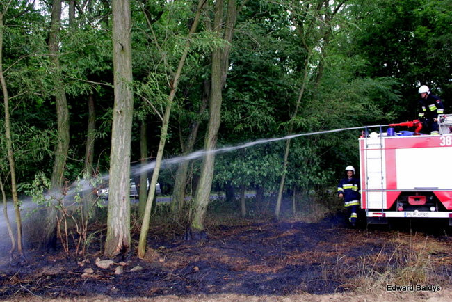 Od zwarcia linii energetycznej