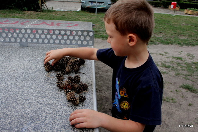 Wakacje Na Piętrze (zdjęcia)