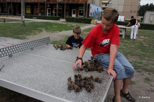 Wakacje Na Piętrze (zdjęcia)