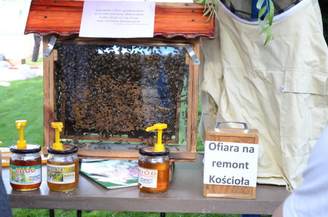 Rodzinnie na Zaborowie (zdjęcia)