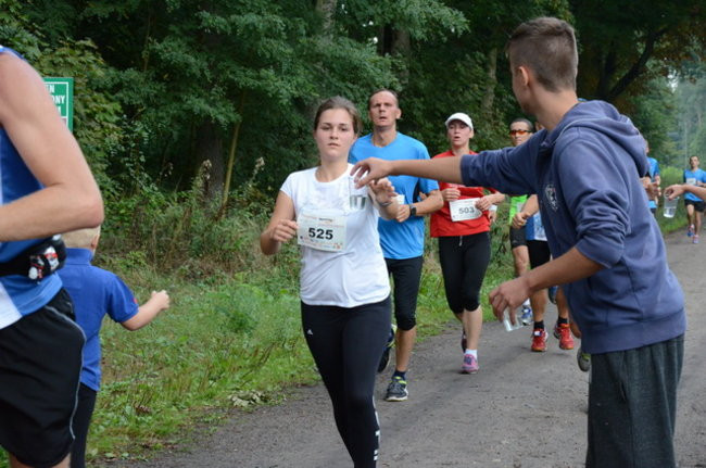 Kolejny sukces Maratonu Leszno (zdjęcia)