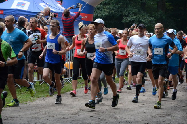 Kolejny sukces Maratonu Leszno (zdjęcia)