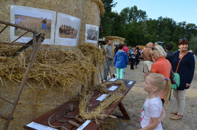 Dożynki w Boszkowie ( zdjęcia)