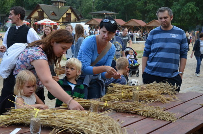 Dożynki w Boszkowie ( zdjęcia)