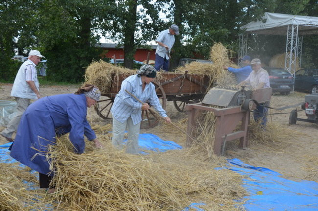 Dożynki w Boszkowie ( zdjęcia)