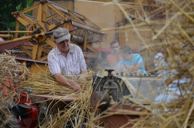 Dożynki w Boszkowie ( zdjęcia)
