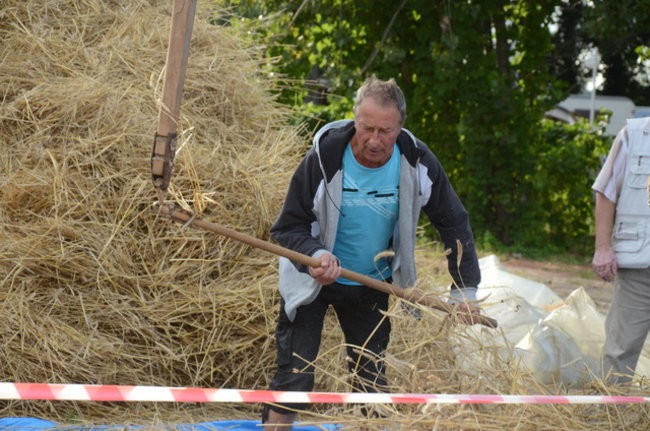 Dożynki w Boszkowie ( zdjęcia)