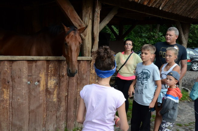Dożynki w Boszkowie ( zdjęcia)