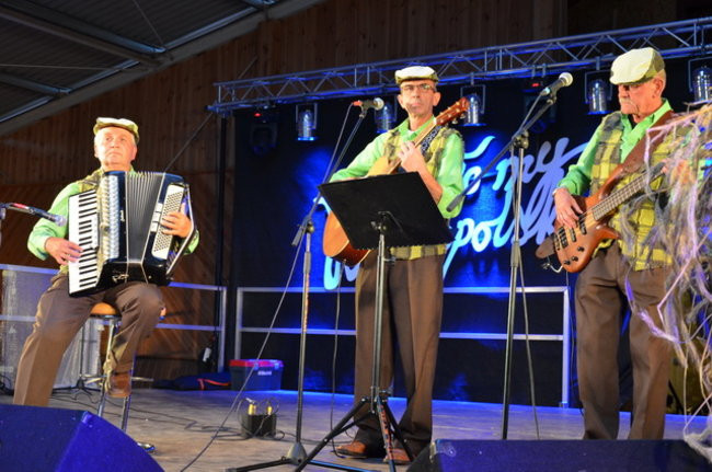 Dożynki w Boszkowie ( zdjęcia)