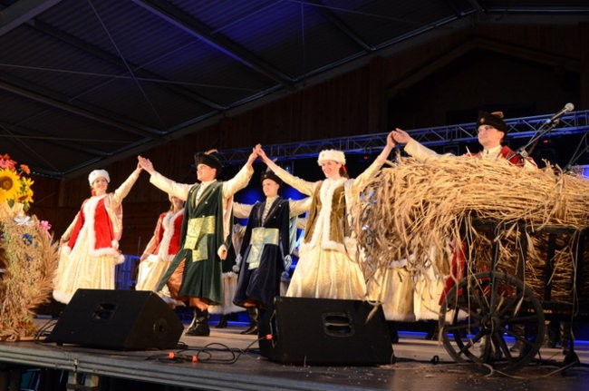 Dożynki w Boszkowie ( zdjęcia)