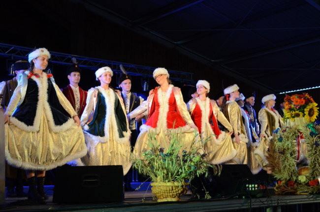 Dożynki w Boszkowie ( zdjęcia)