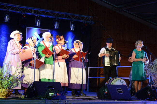 Dożynki w Boszkowie ( zdjęcia)