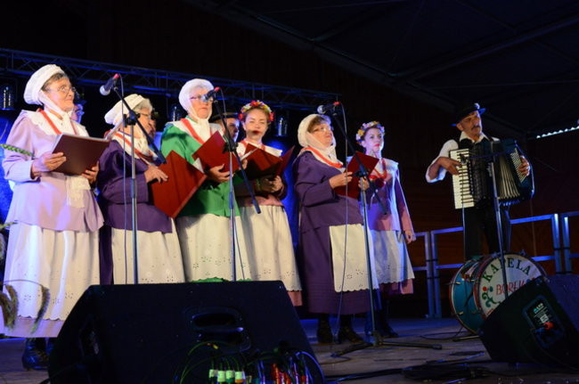 Dożynki w Boszkowie ( zdjęcia)