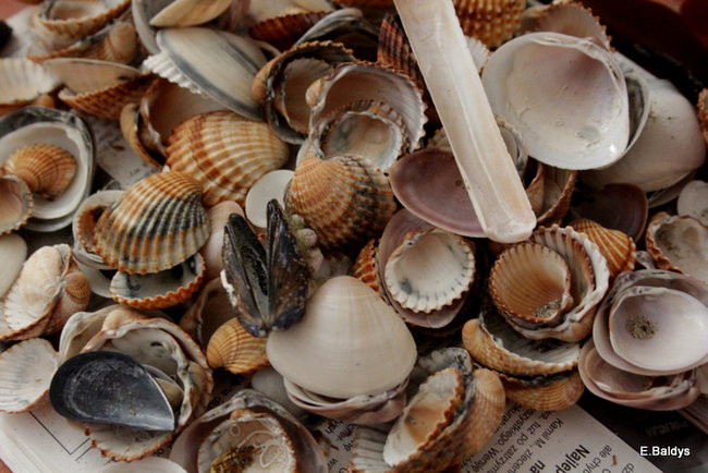 Klub Na Piętrze był we Włoszech (zdjęcia)