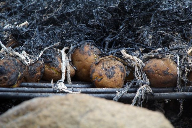 Pyszne pyry po długiej trasie (zdjęcia)