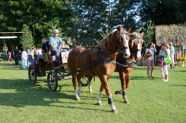 Po staremu w Wilkowicach (zdjęcia)