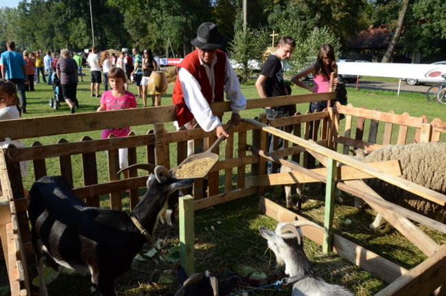 Po staremu w Wilkowicach (zdjęcia)