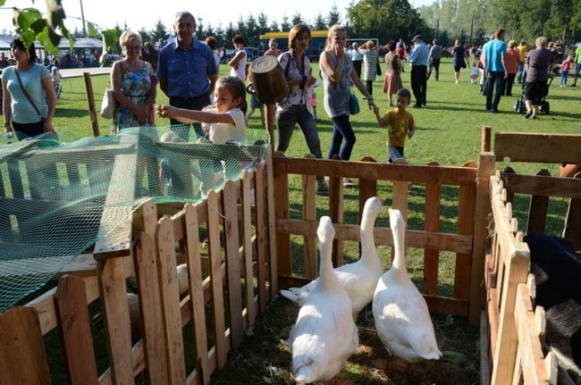 Po staremu w Wilkowicach (zdjęcia)