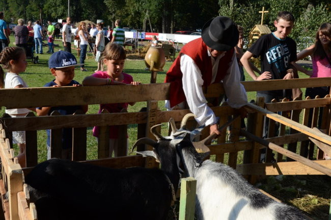 Po staremu w Wilkowicach (zdjęcia)