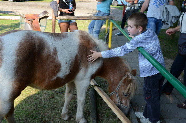 Po staremu w Wilkowicach (zdjęcia)