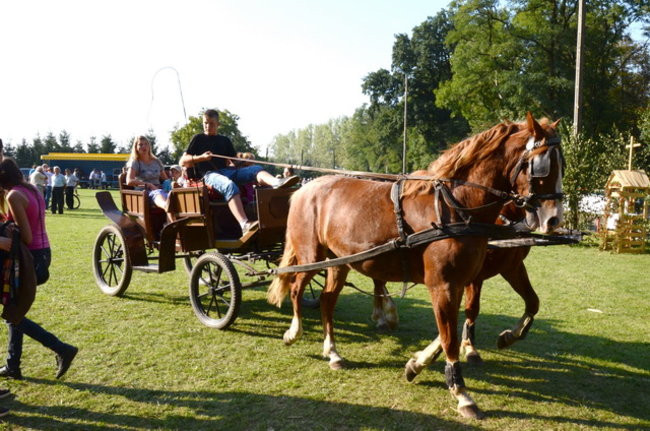Po staremu w Wilkowicach (zdjęcia)