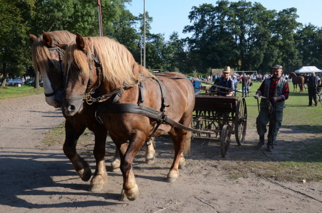 Po staremu w Wilkowicach (zdjęcia)