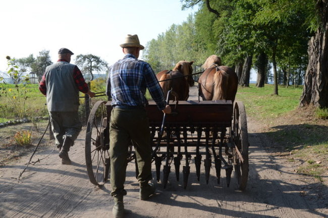 Po staremu w Wilkowicach (zdjęcia)