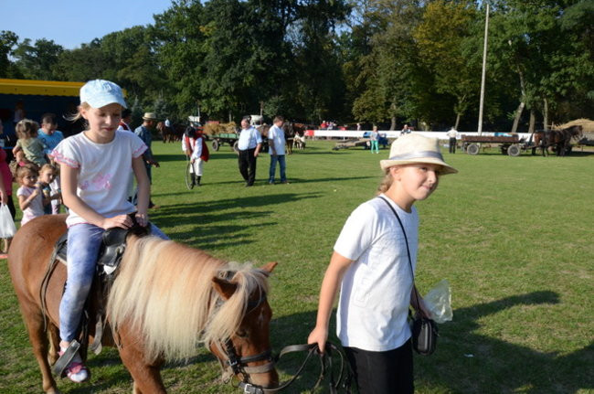 Po staremu w Wilkowicach (zdjęcia)