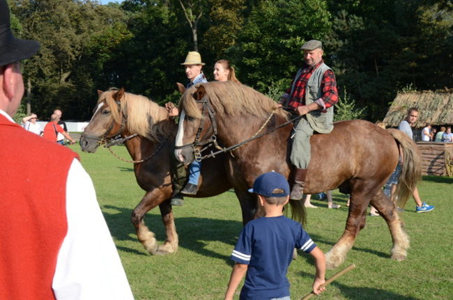 Po staremu w Wilkowicach (zdjęcia)