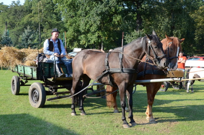 Po staremu w Wilkowicach (zdjęcia)