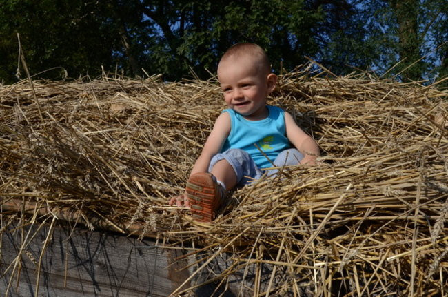 Po staremu w Wilkowicach (zdjęcia)