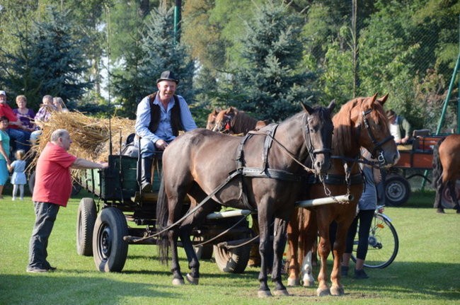 Po staremu w Wilkowicach (zdjęcia)