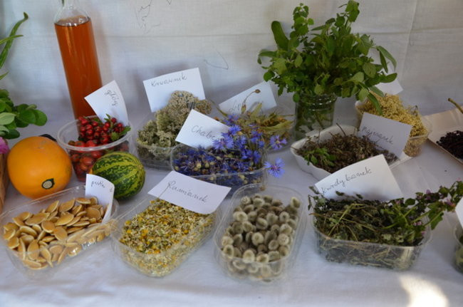 Po staremu w Wilkowicach (zdjęcia)