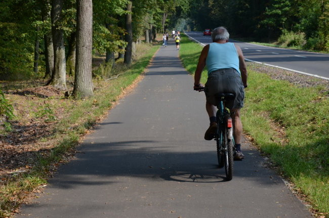 Ścieżka jak marzenie (zdjęcia)