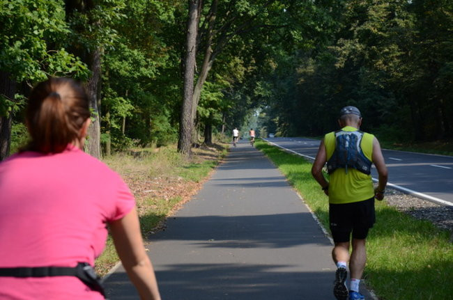 Ścieżka jak marzenie (zdjęcia)