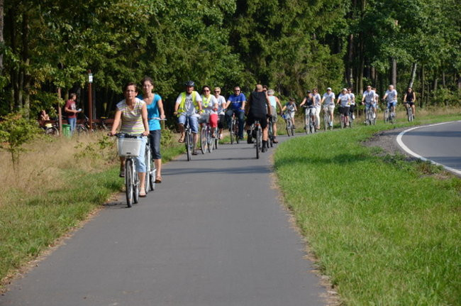 Ścieżka jak marzenie (zdjęcia)
