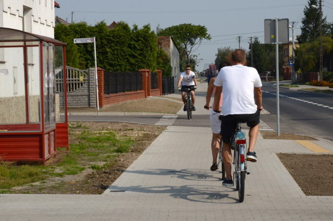 Ścieżka jak marzenie (zdjęcia)