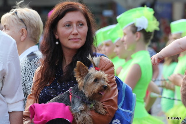 Balonowe Mistrzostwa Świata oficjalnie rozpoczęte (zdjęcia)