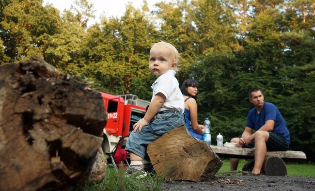 Bawili się na pikniku (zdjęcia)