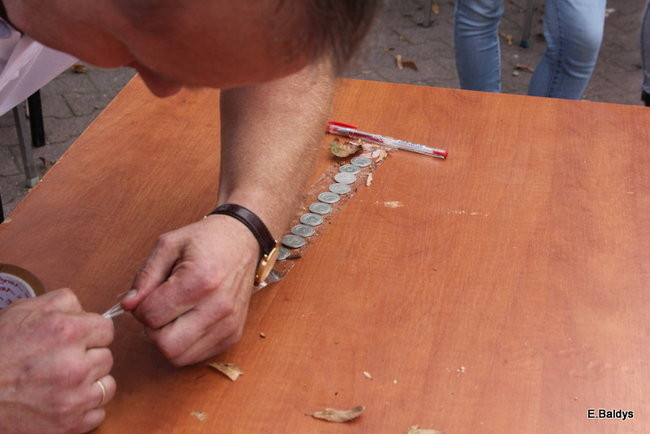 Uzbierali 34 metry złotówek (zdjęcia)