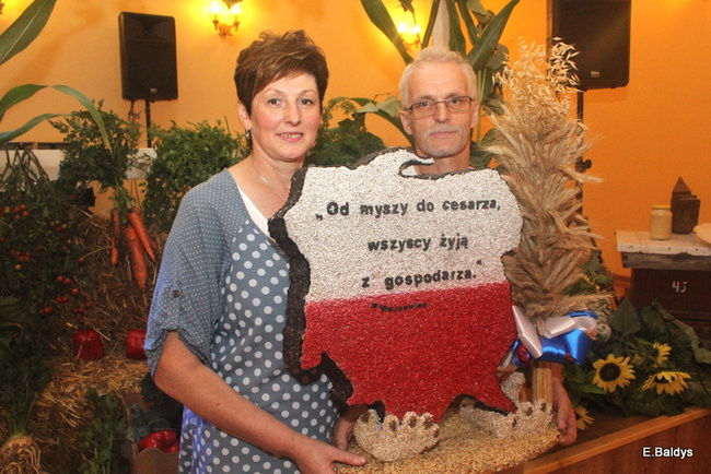 Dożynki 2014 w Wojnowicach (zdjęcia)