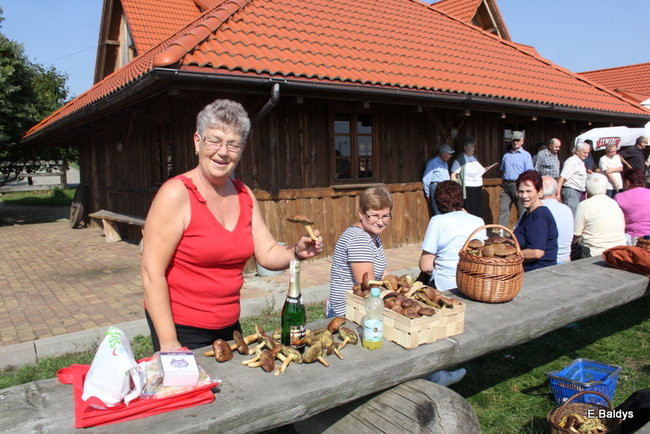 Seniorzy na grzybobraniu (zdjęcia)
