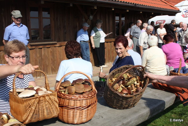 Seniorzy na grzybobraniu (zdjęcia)