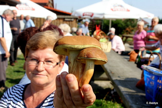 Seniorzy na grzybobraniu (zdjęcia)