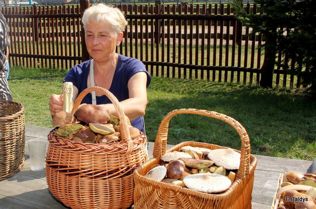 Seniorzy na grzybobraniu (zdjęcia)