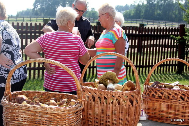 Seniorzy na grzybobraniu (zdjęcia)