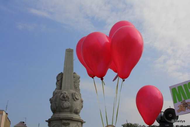 Dzień Przedszkolaka w Rydzynie (zdjęcia)
