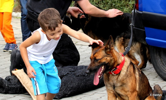 Dzień Przedszkolaka w Rydzynie (zdjęcia)