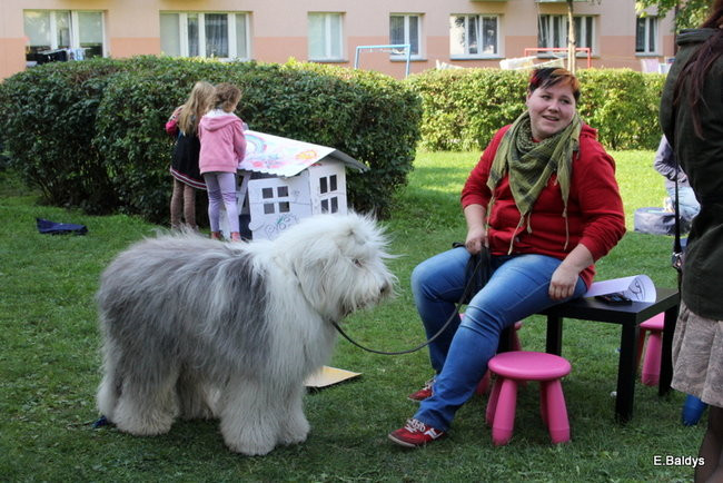 Był szary jest kolorowy (zdjęcia)